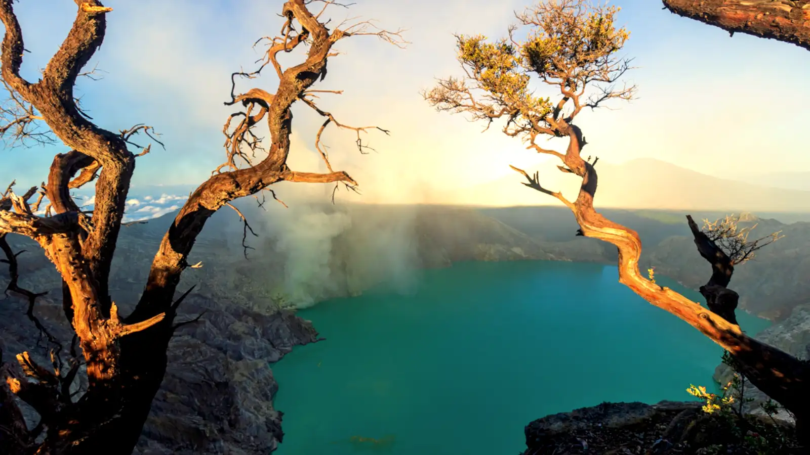 The iconic dead tree at Ijen Crater with a teal and orange color grade showing the turquoise lake