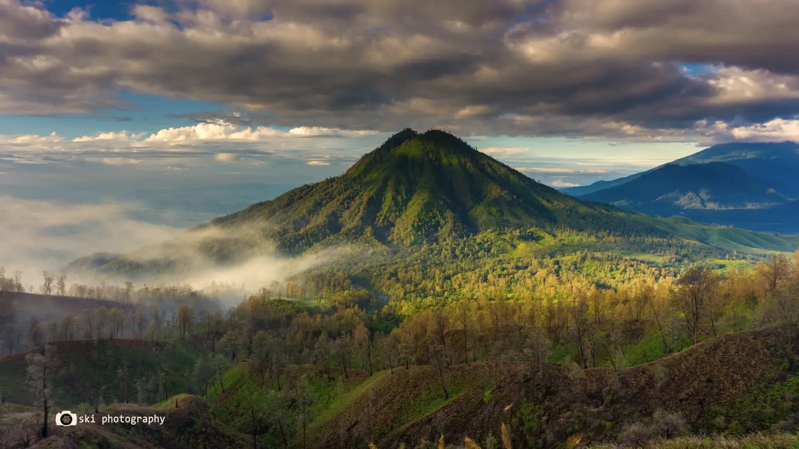 The iconic dead trees at the edge of the Ijen volcanic crater