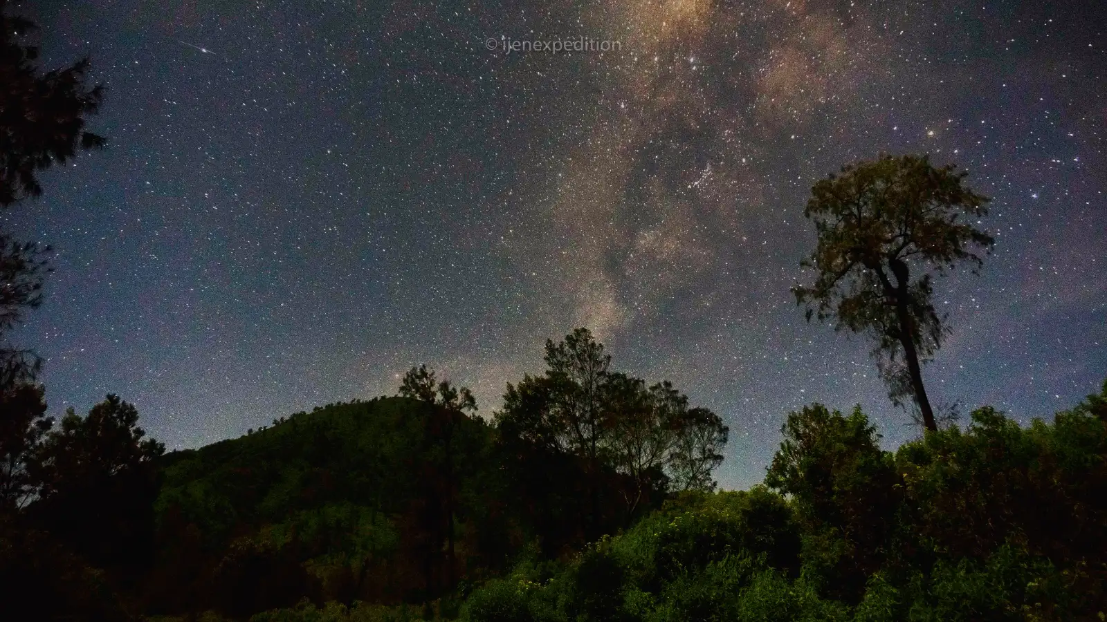 Silhouetted trees against a starry night sky at Mount Ijen