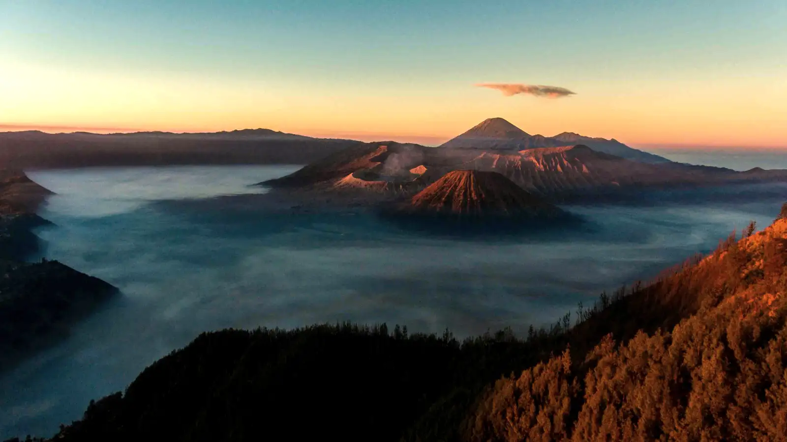 King Kong Hill Viewpoint Looking out from a viewpoint towards the Bromo caldera