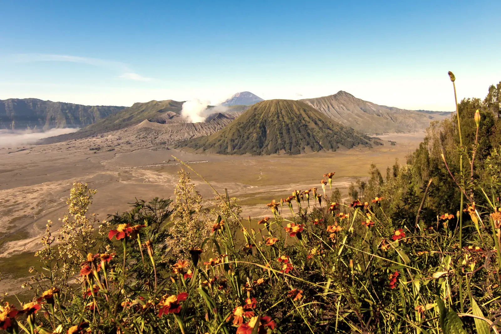 Mount Bromo Caldera View Aerial view of East Java volcanic landscapes